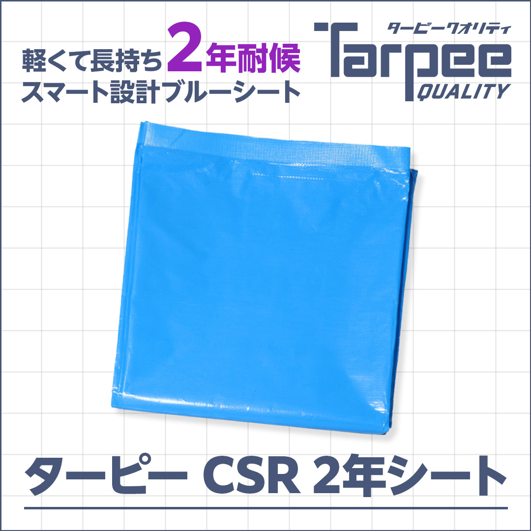 ターピー CSR2年シート