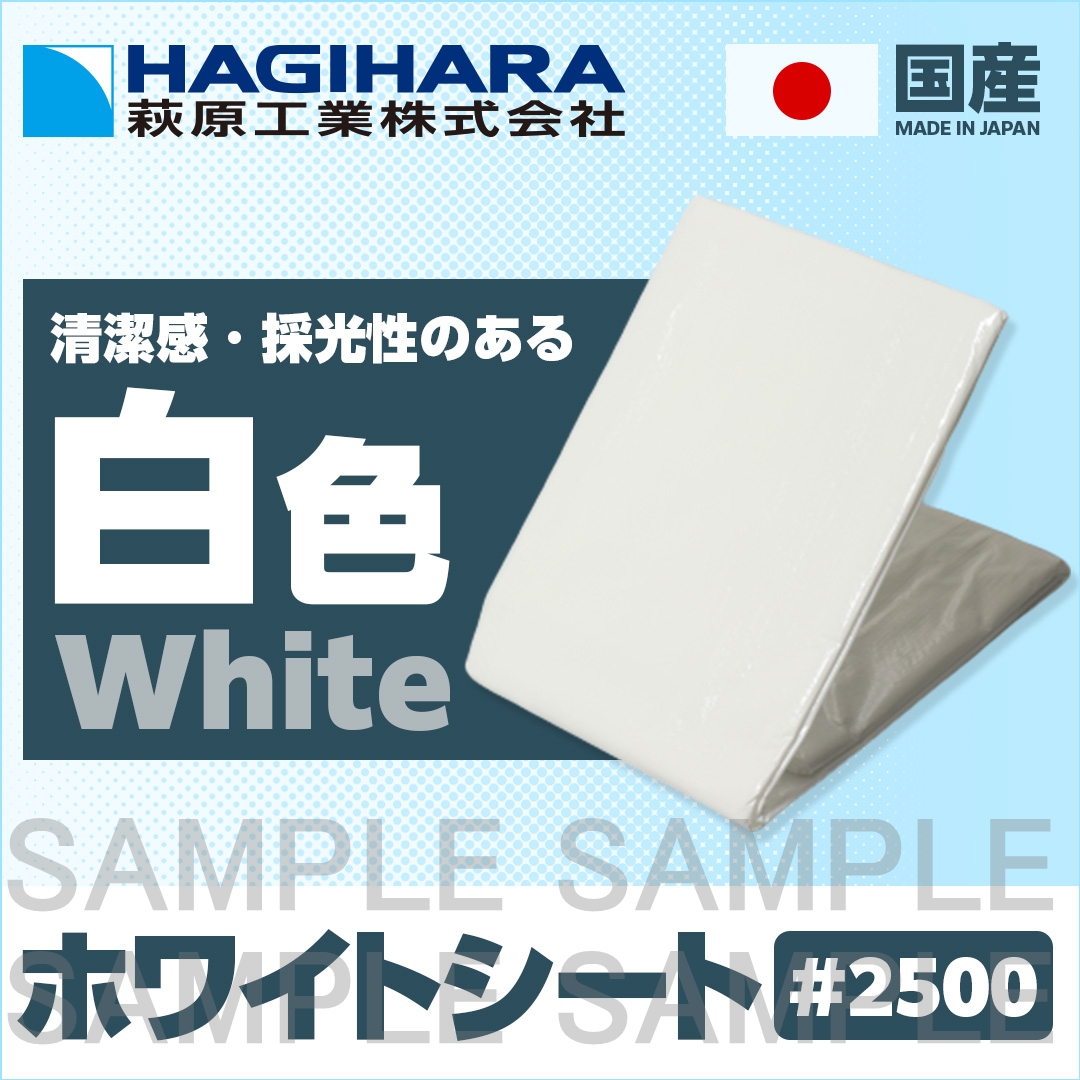 ホワイトシート（HC）#2500