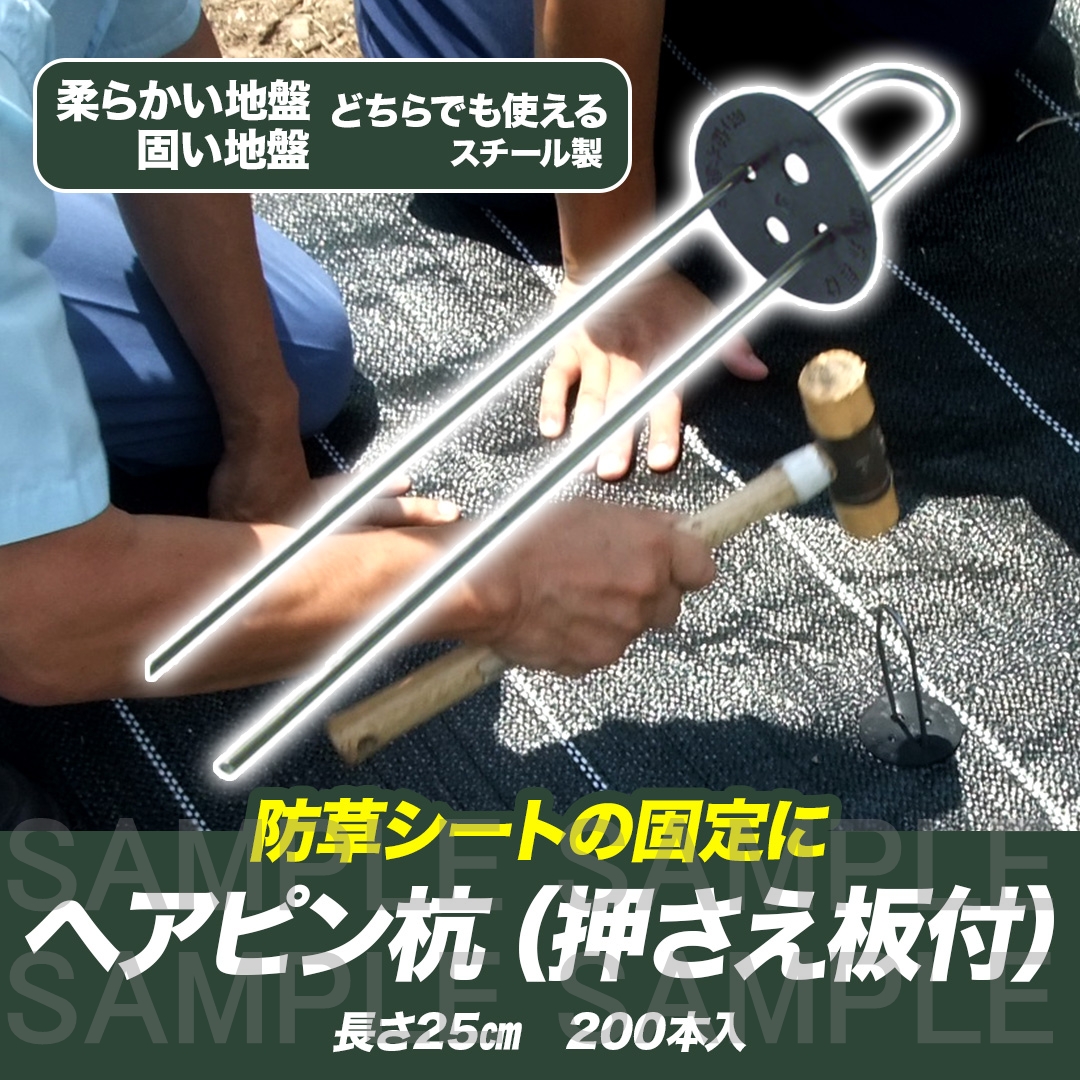 ヘアピン杭（押え板付）