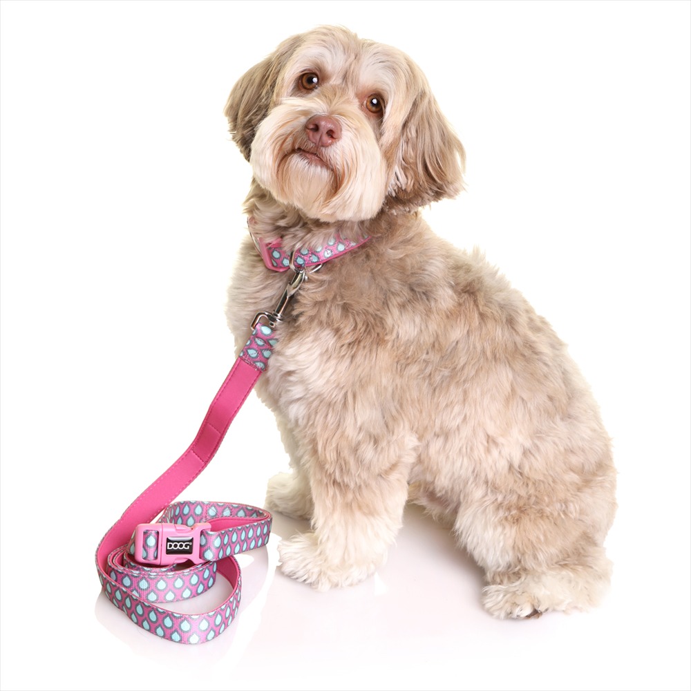 DOOG ネオフレックス クリップイット リード ルナ