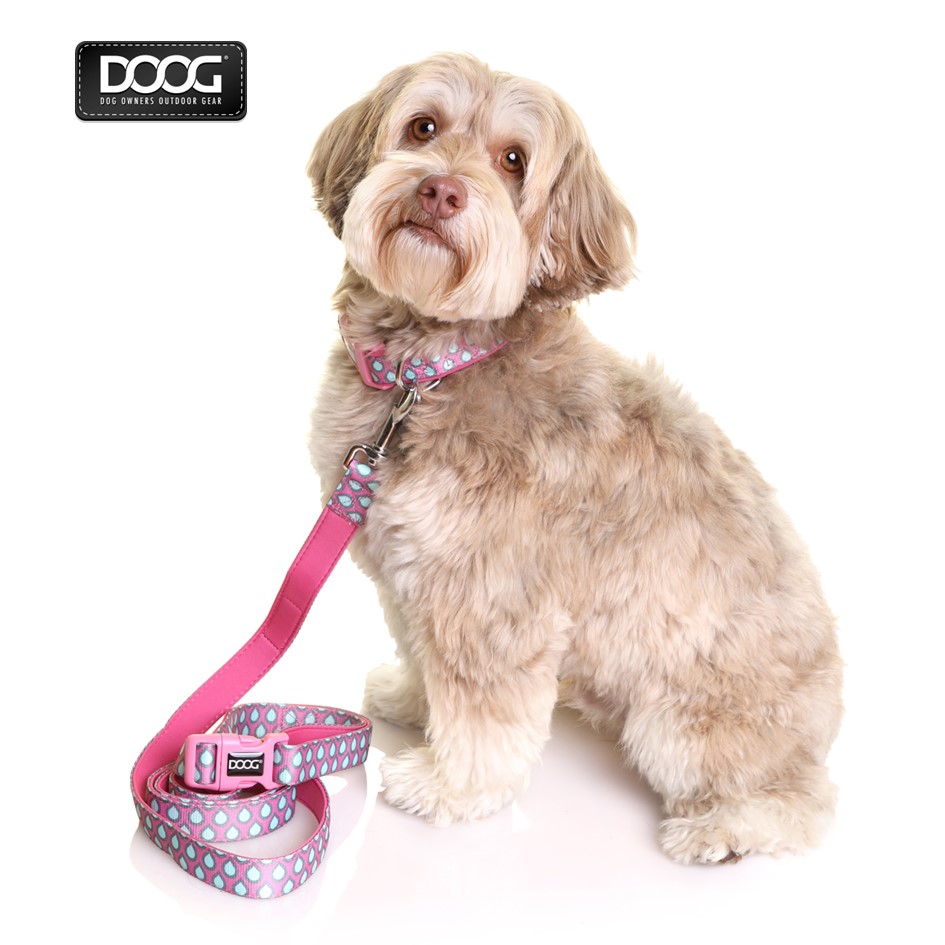 DOOG ネオフレックス クリップイット リード ルナ