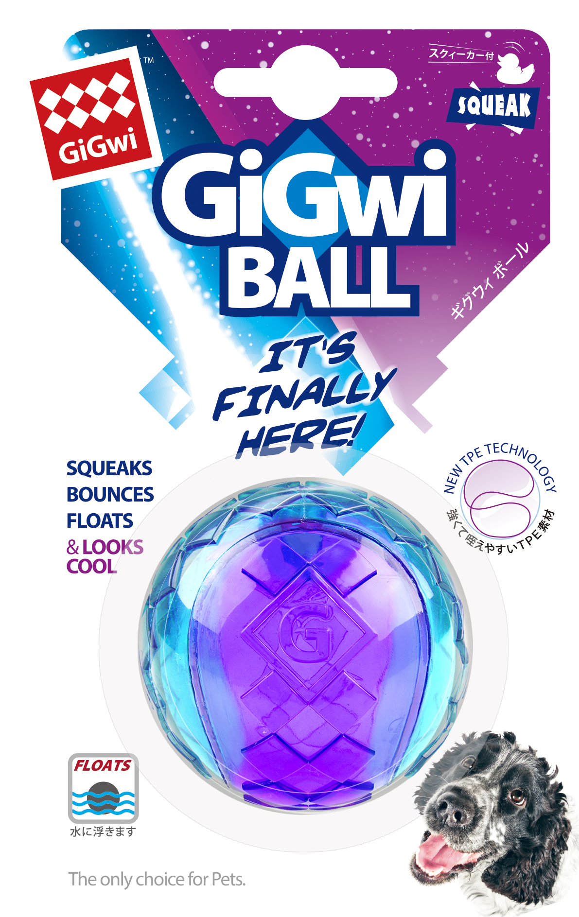 GiGwi ｷﾞｸﾞｳｨ ﾎﾞｰﾙ