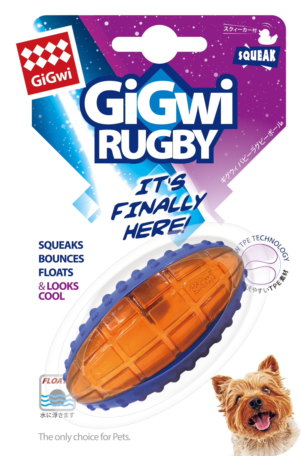 GiGwi ｷﾞｸﾞｳｨ ﾊﾟﾋﾟｰﾗｸﾞﾋﾞｰﾎﾞｰﾙ