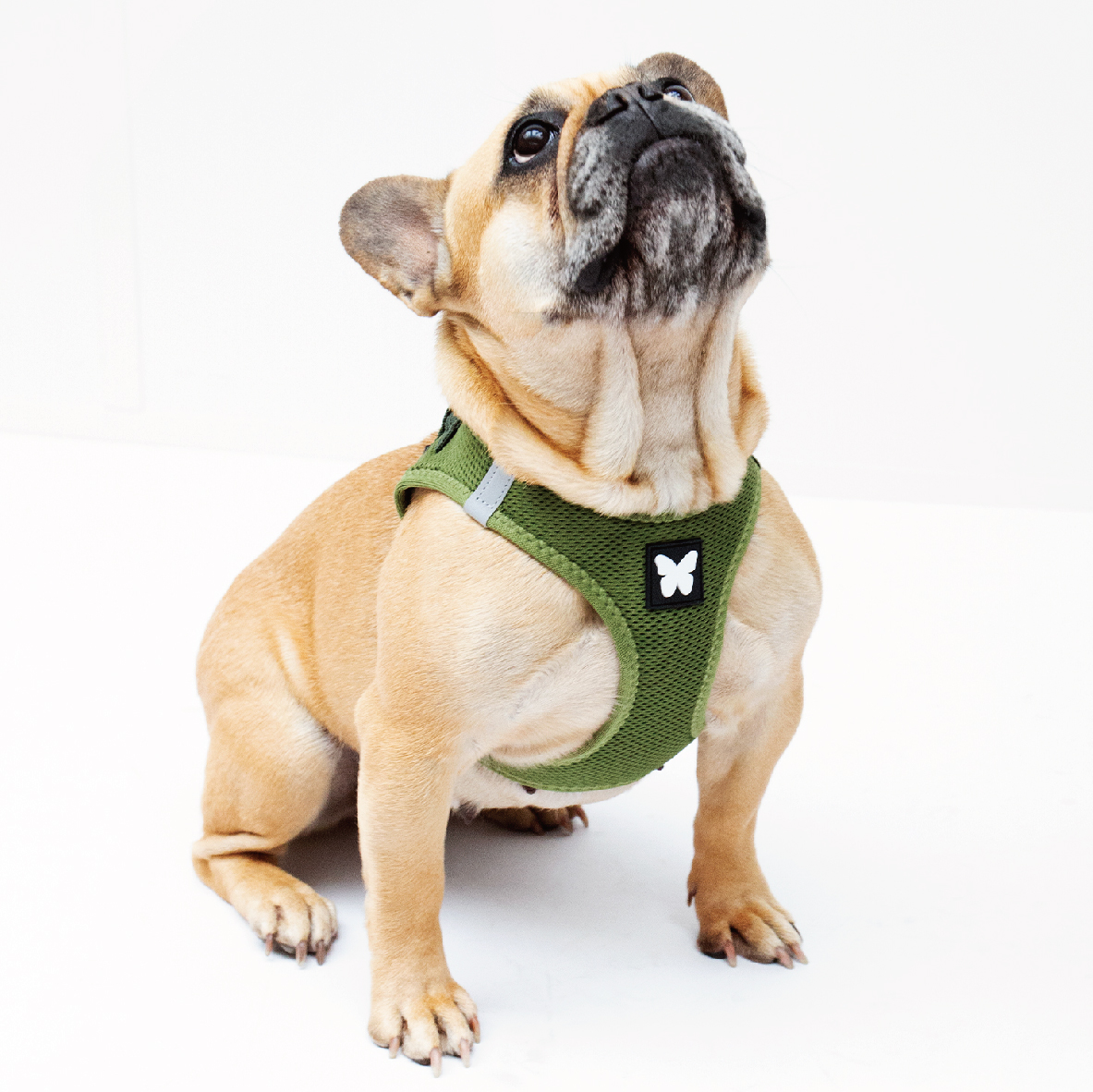 martin バタフライハーネス カーキ