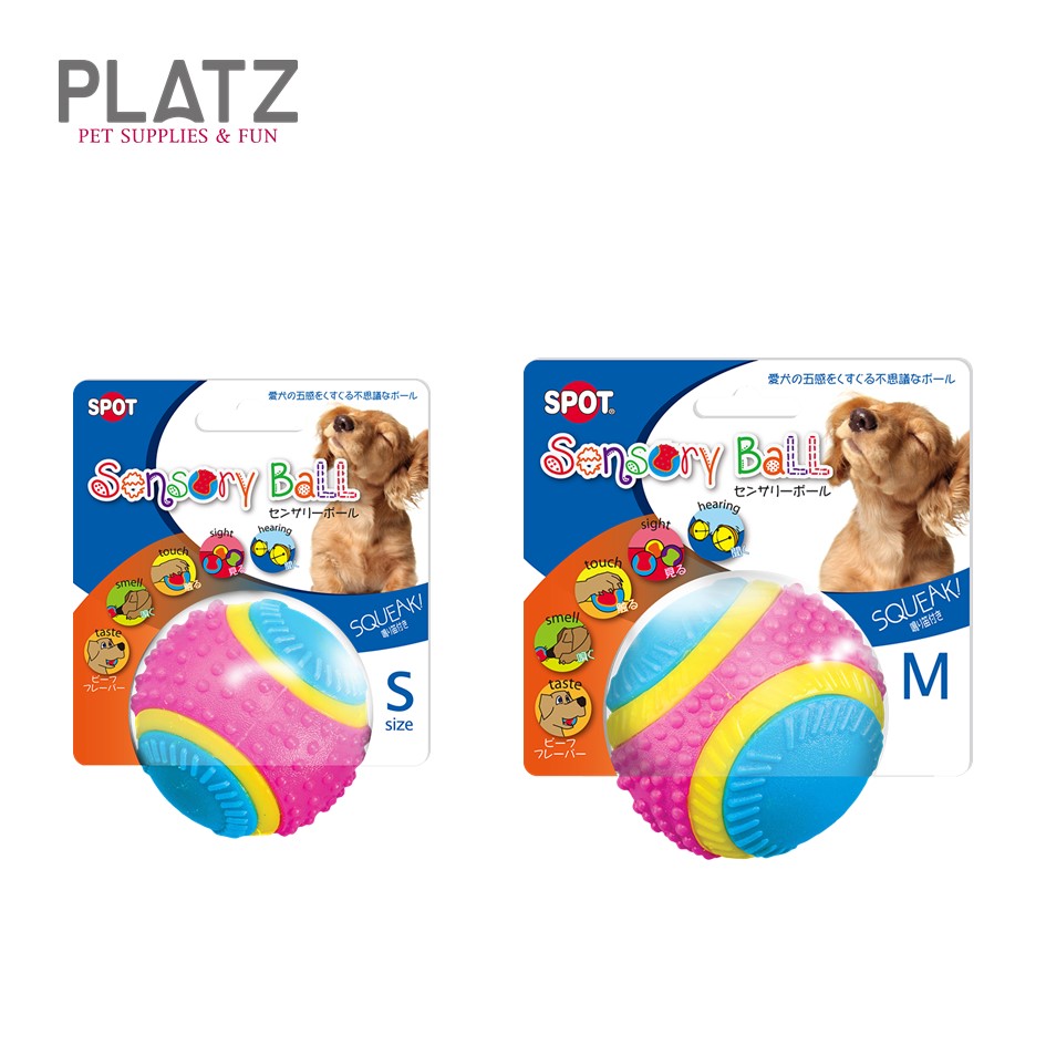 センサリー ボール