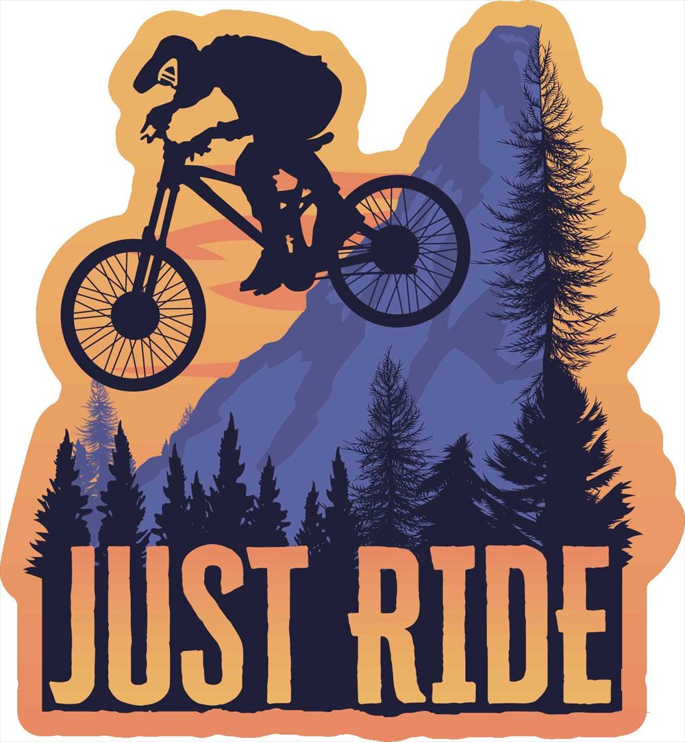 Sticker Pack  ｼﾞｬｽﾄ ﾗｲﾄﾞ ﾊﾞｲｼｸﾙ L