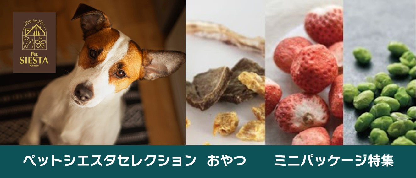 ミニパッケージおやつ