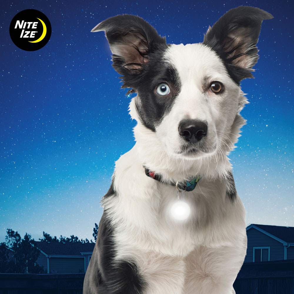 NITE IZE スポットリット