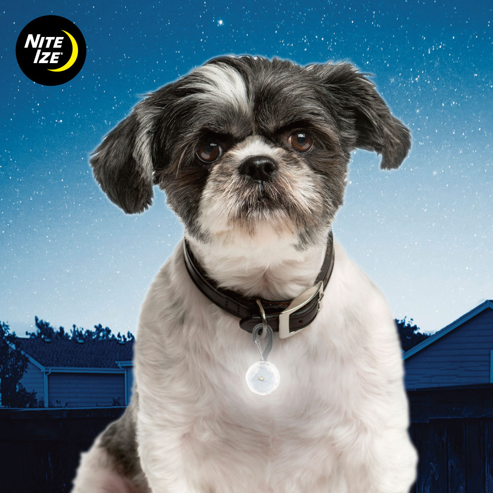 NITE IZE ペットリット
