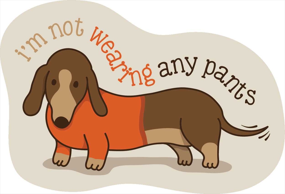 Sticker Pack ノットウェアリングパンツ ダックス S