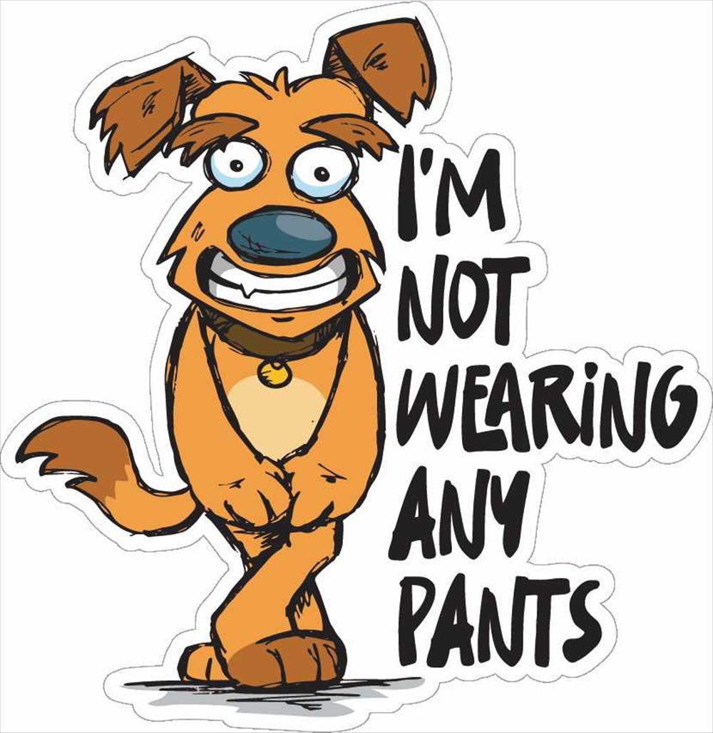 Sticker Pack ノットウェアリングパンツ S