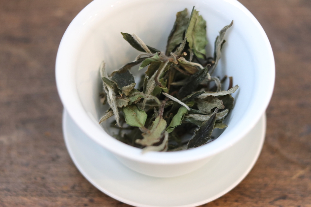 白牡丹20g