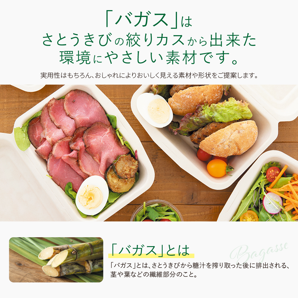ECO&BASIC バガス ランチボックス 1000ml | バガスのBtoB仕入れなら【CStoB】