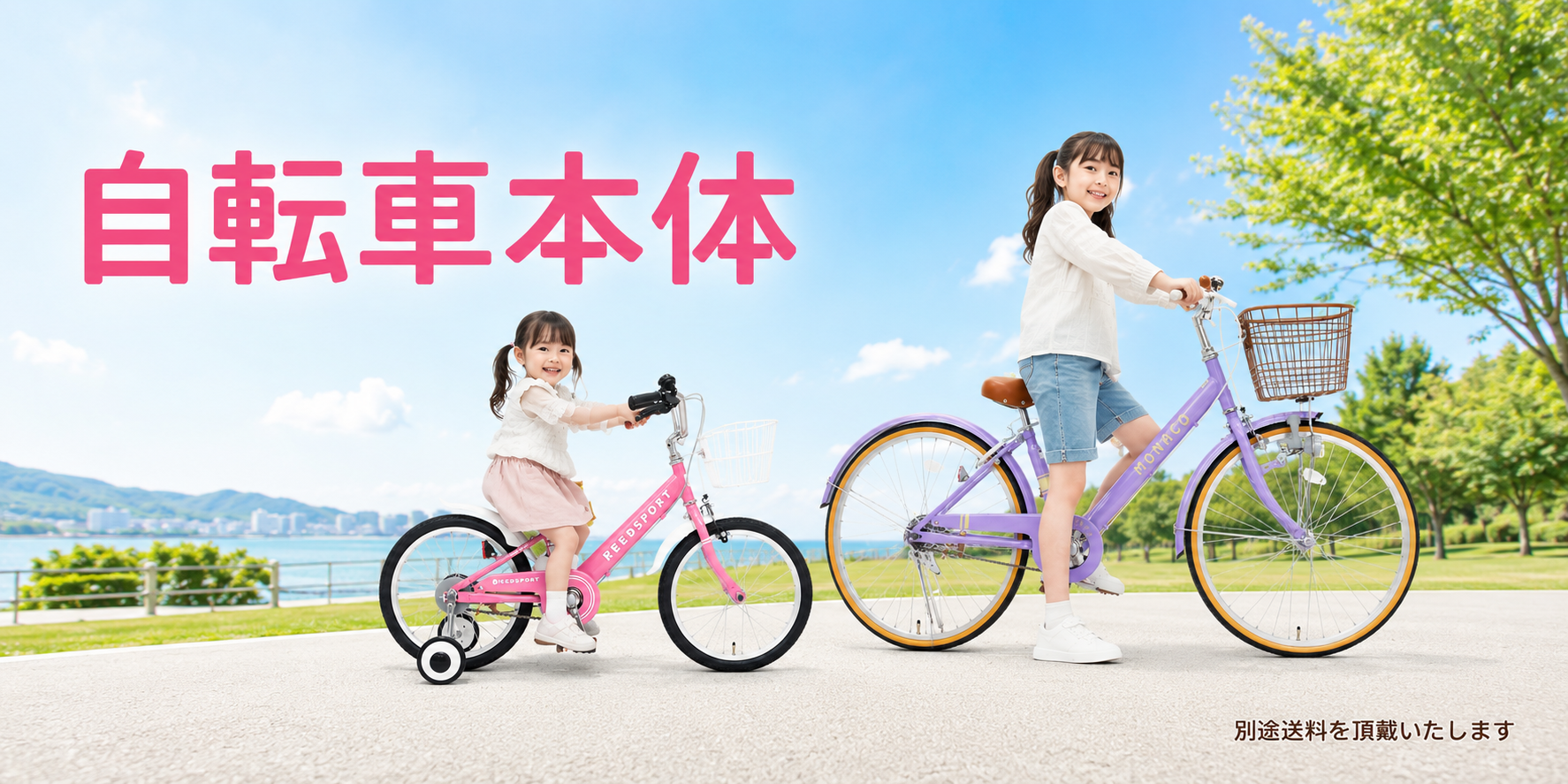 自転車本体