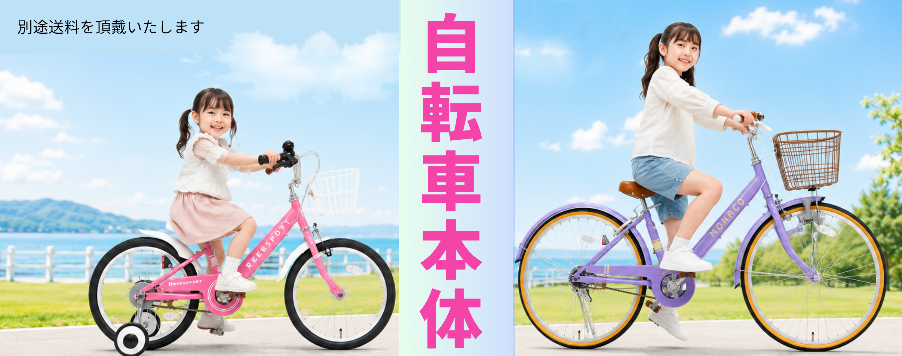 自転車本体