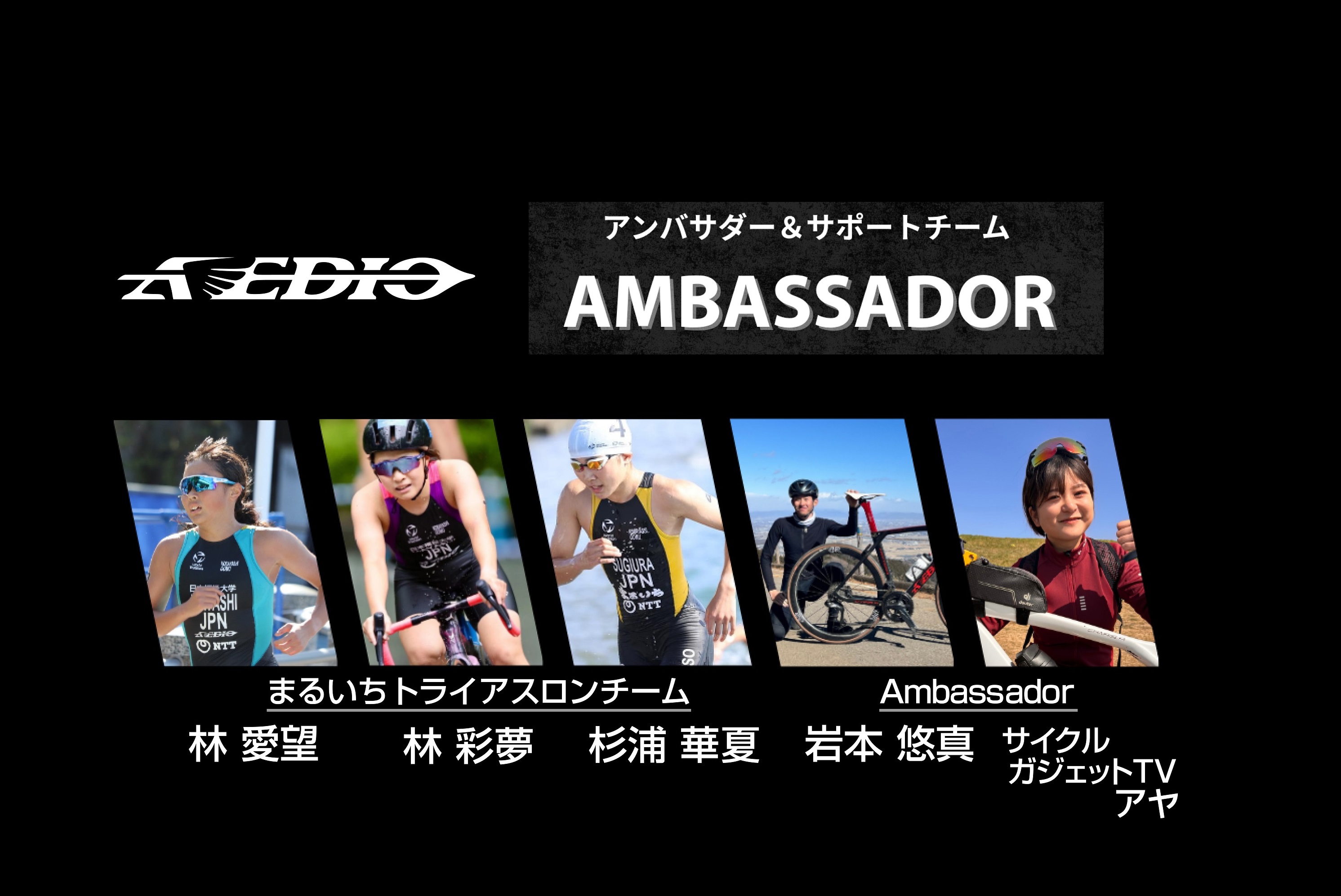ambassador