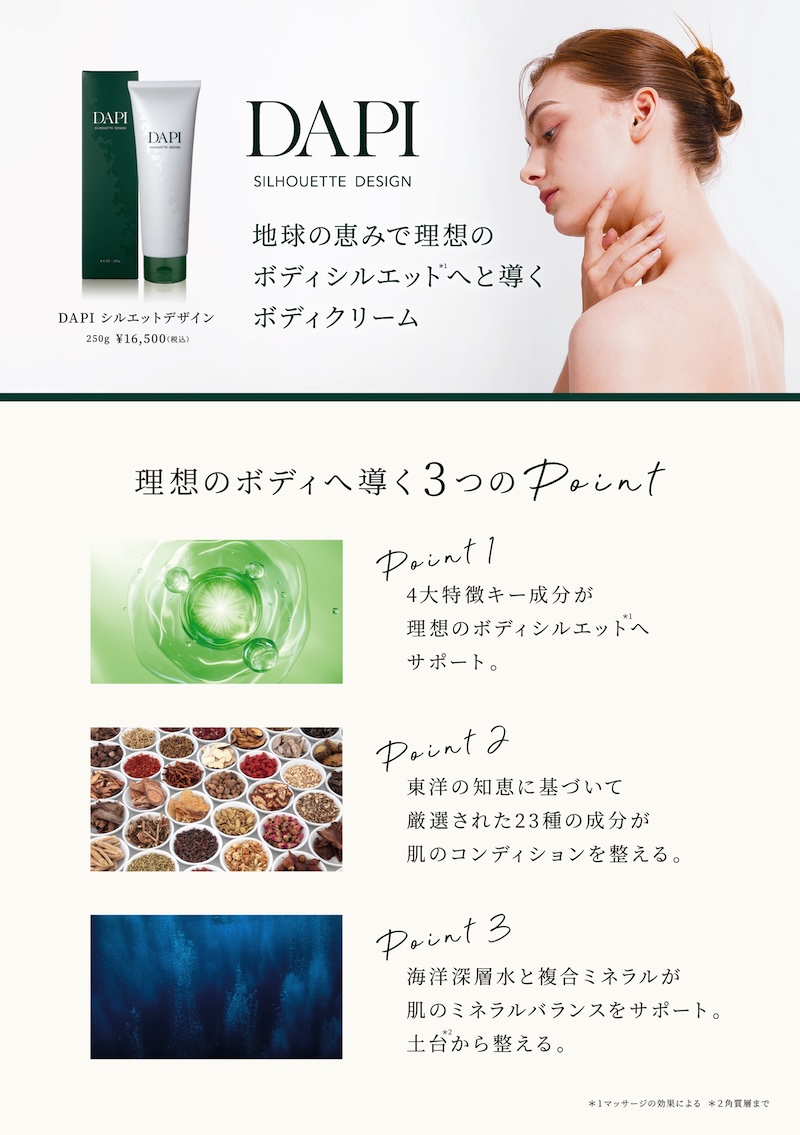 10枚セット【シンプルチラシ（使い方記載）】DAPIシルエットデザイン