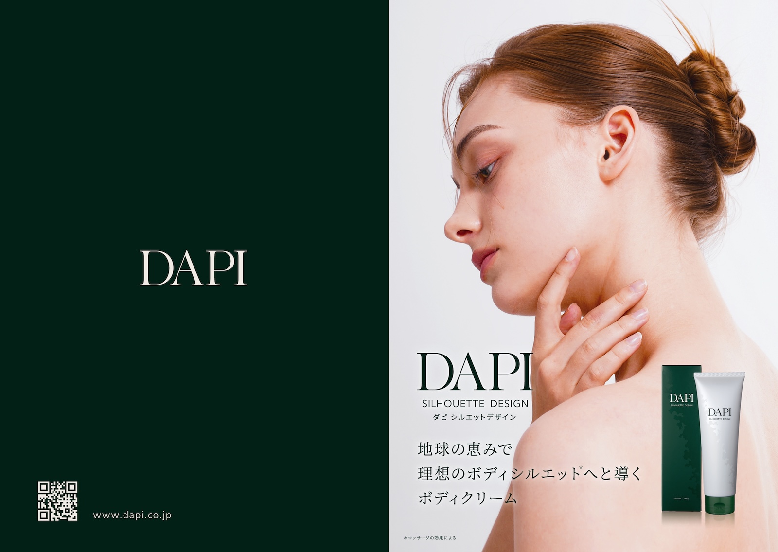 【パンフレット】DAPIシルエットデザイン