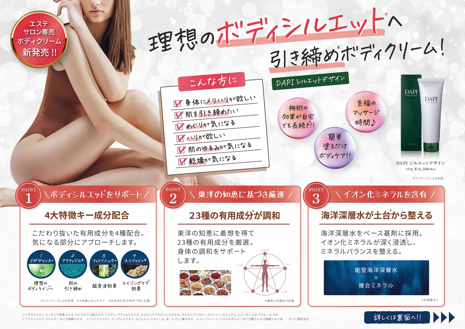 【推販シートver.A】DAPIシルエットデザイン（パウチ）