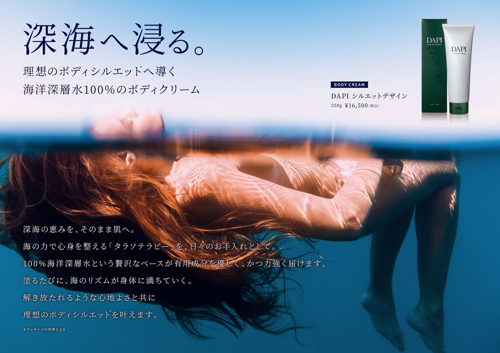 【推販シートver.B】DAPIシルエットデザイン（パウチ）