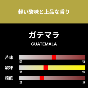 【コーヒー豆】ガテマラ　1kg