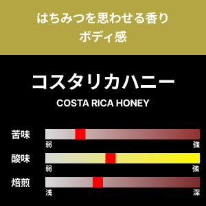 【コーヒー豆】コスタリカハニー　1kg