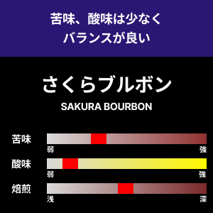 【コーヒー豆】さくらブルボン