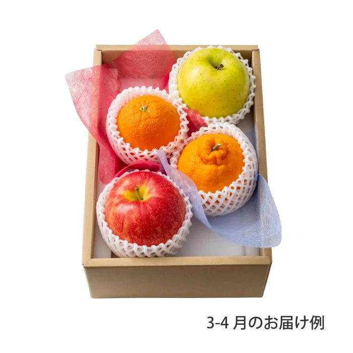 ホシフルーツ　おまかせ旬のフルーツＢＯＸ　Ａ