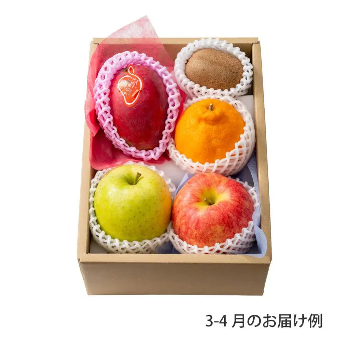 ホシフルーツ　おまかせ旬のフルーツＢＯＸ　Ｂ