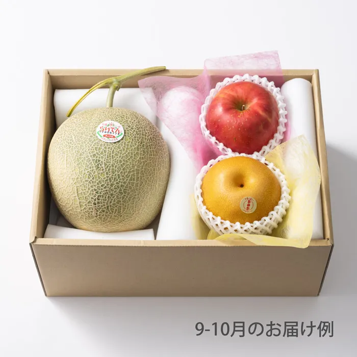 ホシフルーツ　おまかせ旬のフルーツＢＯＸ　Ｂ【販売期間:～2026/4/1 AM10:00予定】