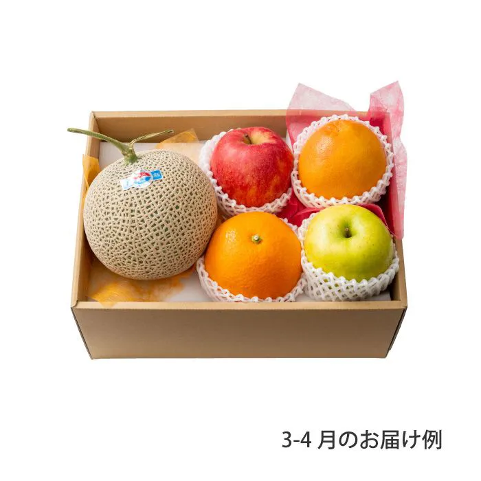 ホシフルーツ　おまかせ旬のフルーツＢＯＸ　Ｃ