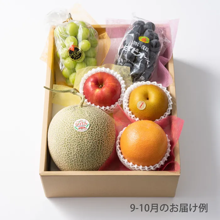 ホシフルーツ　おまかせ旬のフルーツＢＯＸ　Ｄ【販売期間:～2026/4/1 AM10:00予定】