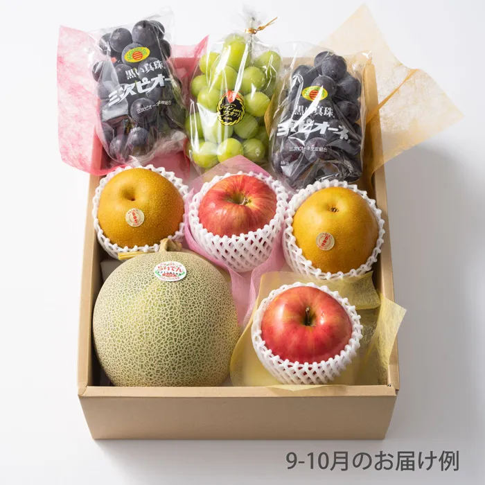 ホシフルーツ　おまかせ旬のフルーツＢＯＸ　Ｅ【販売期間:～2026/4/1 AM10:00予定】
