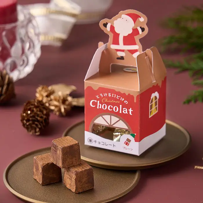 【クリスマス限定】とろける口どけのクリスマスショコラ　プレーン
