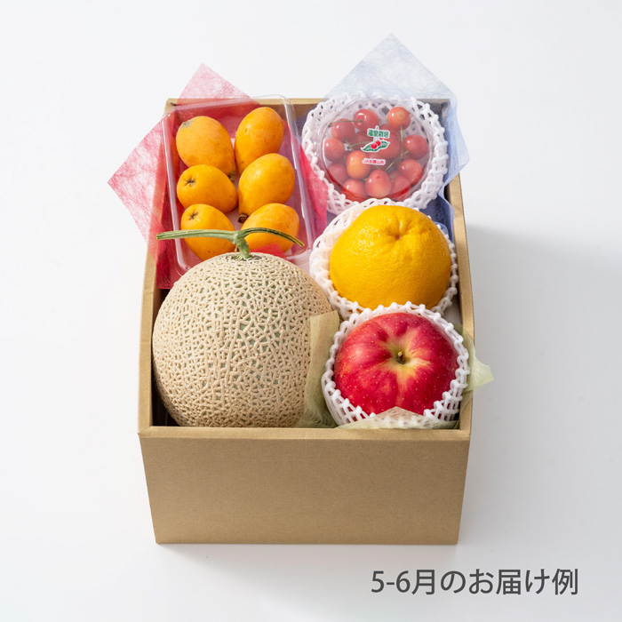 ホシフルーツ　おまかせ旬のフルーツＢＯＸ　Ｄ【販売期間:～2026/4/1 AM10:00予定】
