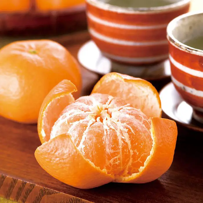 【冬季限定】山口大島みかん（秀）