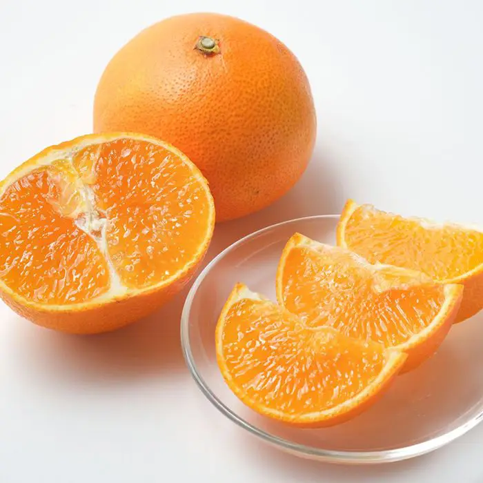 【冬季限定】愛媛県産　紅まどんな