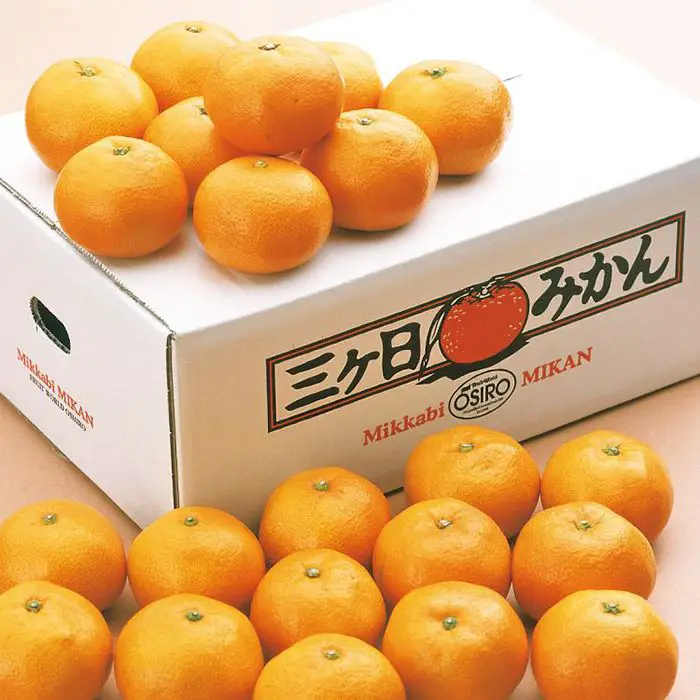 【冬季限定】静岡県産　三ヶ日みかん［２．５ｋｇ］