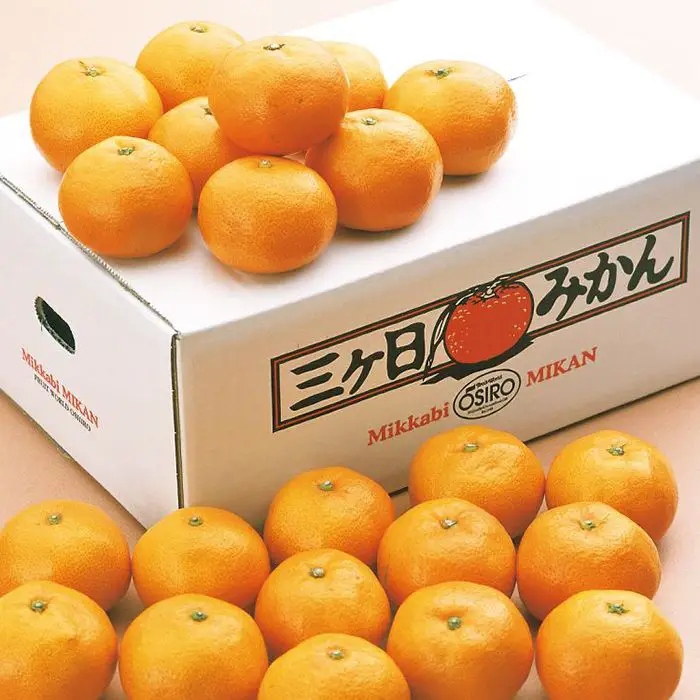 【冬季限定】静岡県産　三ヶ日みかん［４ｋｇ］