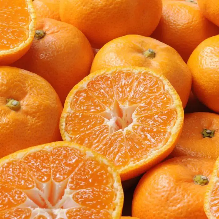 【冬季限定】和歌山県産　有田みかん［２．５ｋｇ］