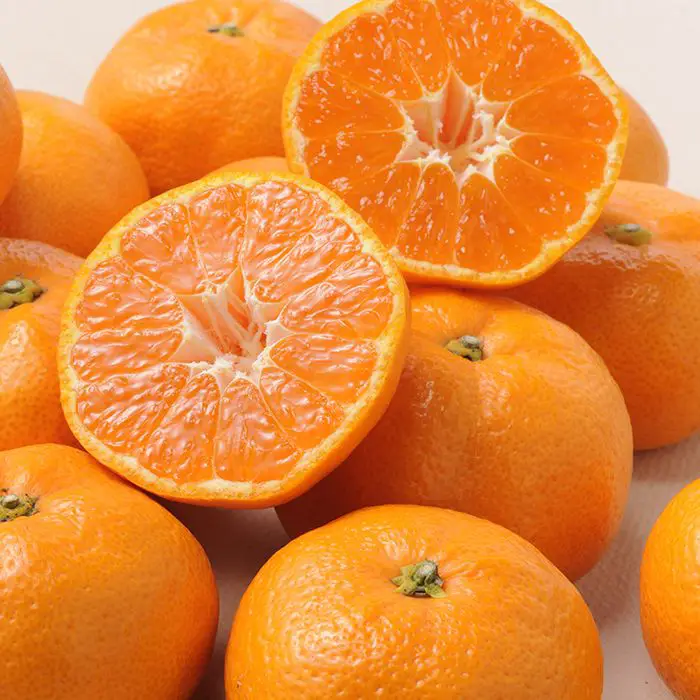 【冬季限定】愛媛みかん［３ｋｇ］