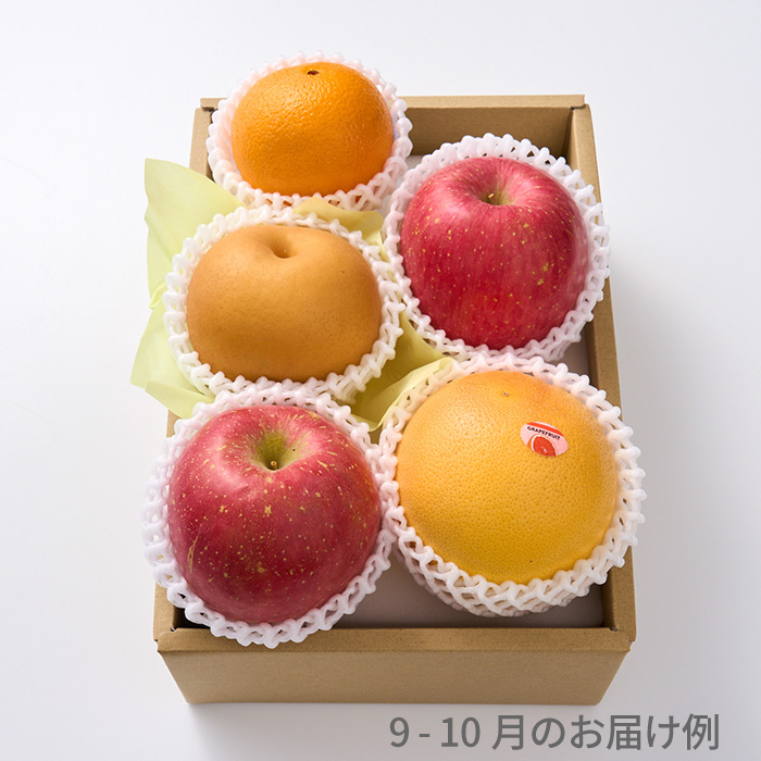 ホシフルーツ　おまかせ旬のフルーツBOX　AN
