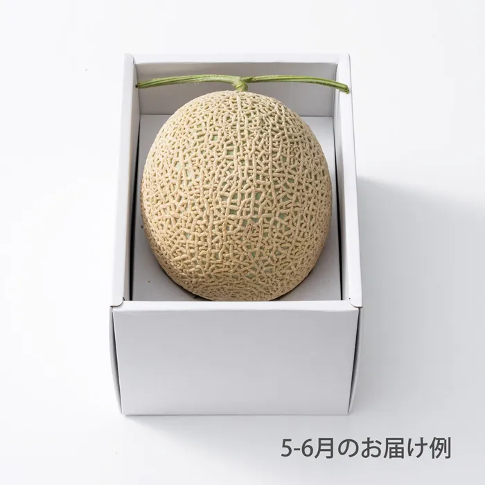ホシフルーツ　おまかせ旬のフルーツBOX　AN