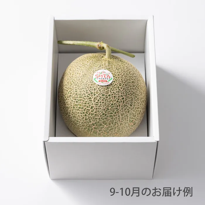 ホシフルーツ　おまかせ旬のフルーツBOX　AN