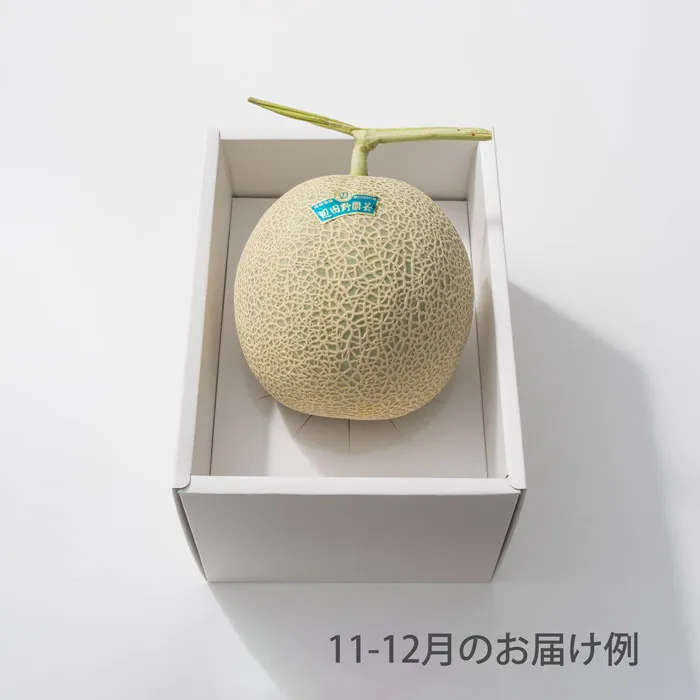 ホシフルーツ　おまかせ旬のフルーツBOX　AN