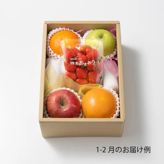 ホシフルーツ　おまかせ旬のフルーツBOX　BN