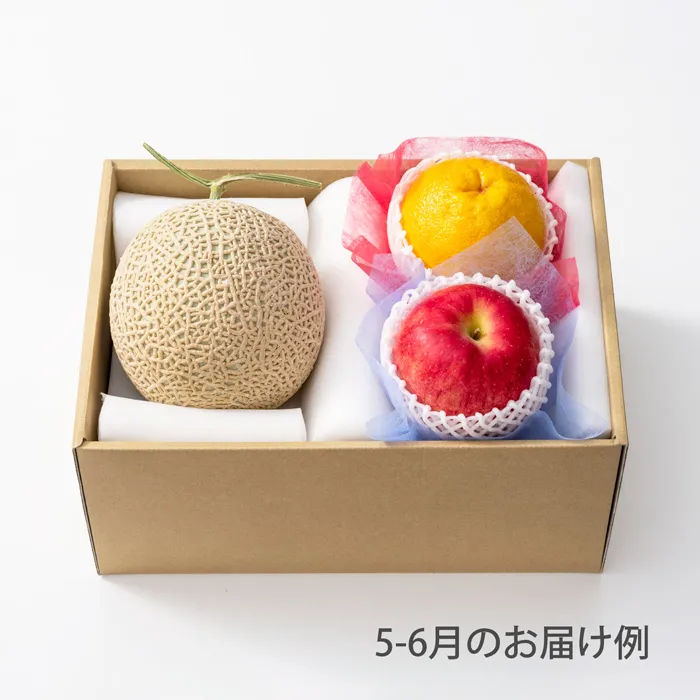 ホシフルーツ　おまかせ旬のフルーツBOX　BN