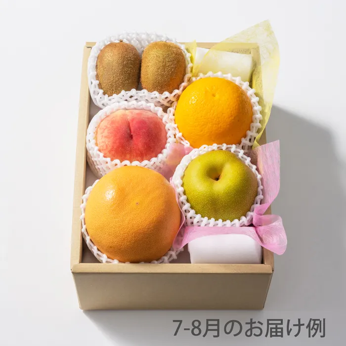 ホシフルーツ　おまかせ旬のフルーツBOX　BN