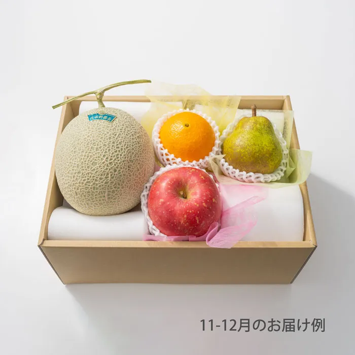 ホシフルーツ　おまかせ旬のフルーツBOX　BN