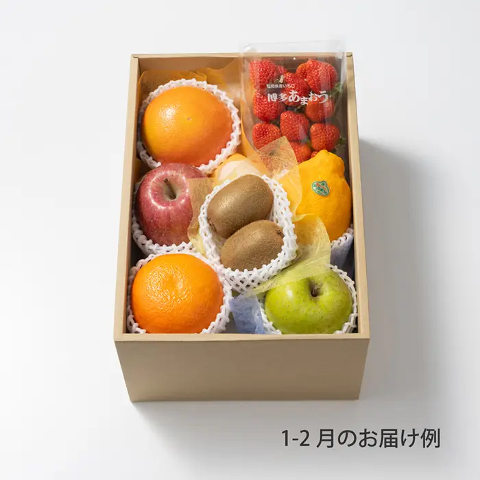 ホシフルーツ　おまかせ旬のフルーツBOX　CN